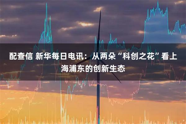 配查信 新华每日电讯:从两朵“科创之花”看上海浦东的创新生态